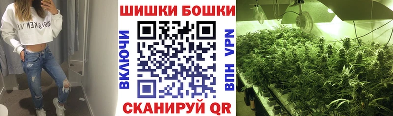 Как найти наркотики Лесосибирск Гашиш  COCAIN  Alpha-PVP  hydra tor  Мефедрон 