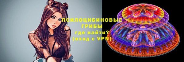 2c-b Кукмор