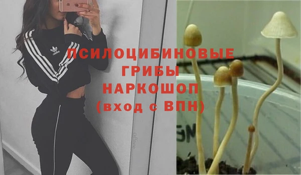 сатива Ладушкин