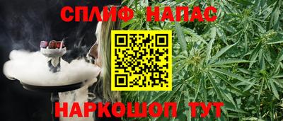 спайс Гусев