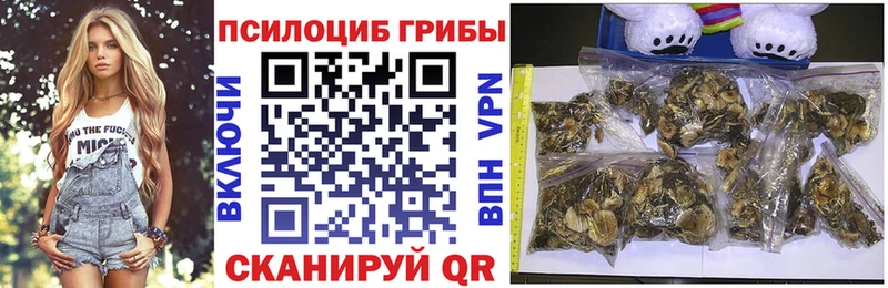 Псилоцибиновые грибы Psilocybe  Лесосибирск 