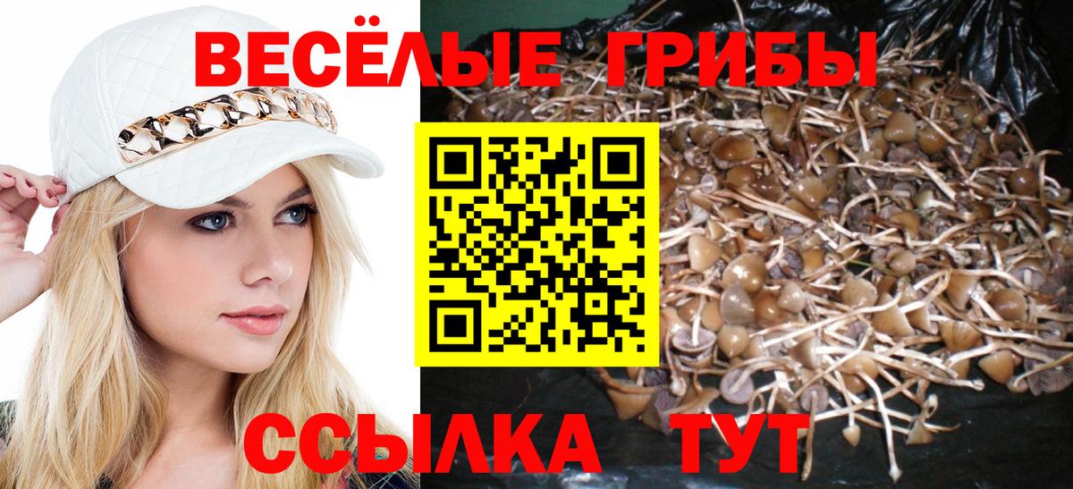 Псилоцибиновые грибы мицелий Лесосибирск