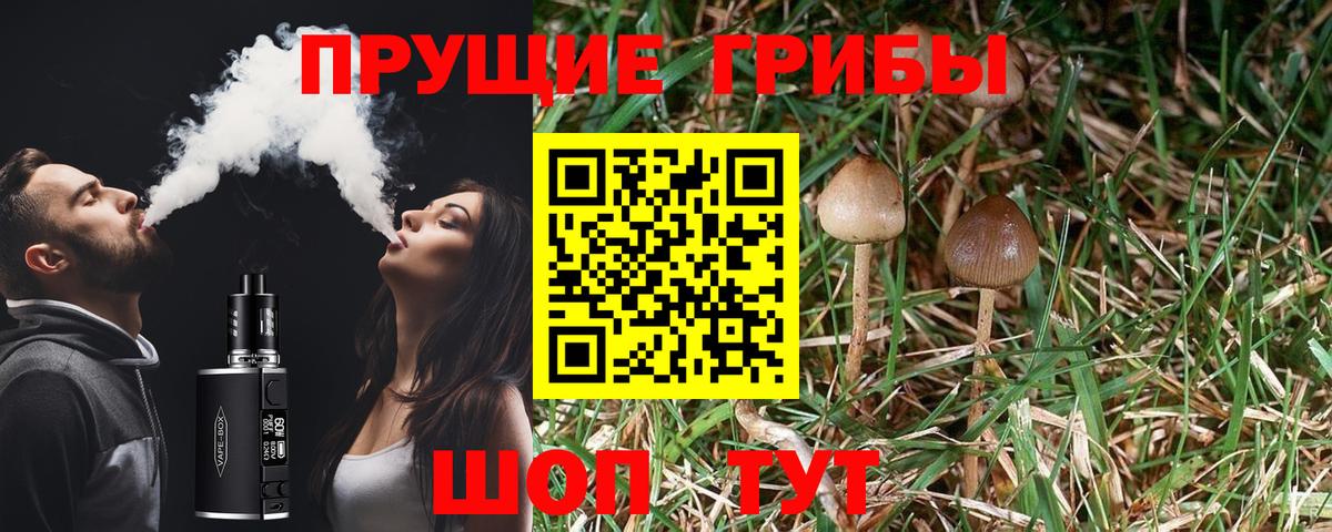 Псилоцибиновые грибы прущие грибы  Вход с VPN  Лесосибирск 